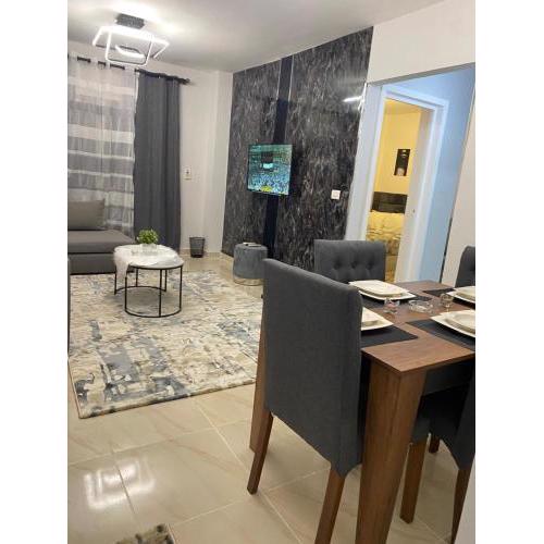 Furnished apartment in madinaty