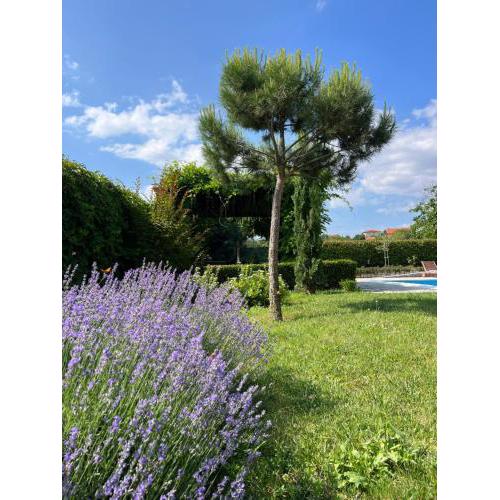 Garden Villa 2 Bedroom Villa with pool near to Sunny beach