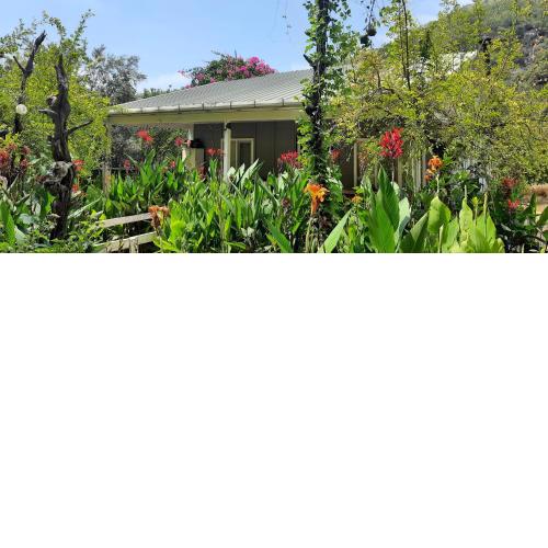 Gelidonia Fenerium Holiday Home