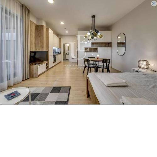 Geneva: A charming patio studio with private parking!