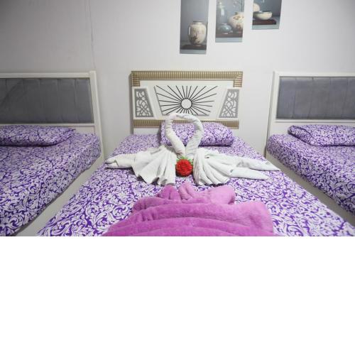 Giza City Hotel-الجيزة سيتى اوتيل
