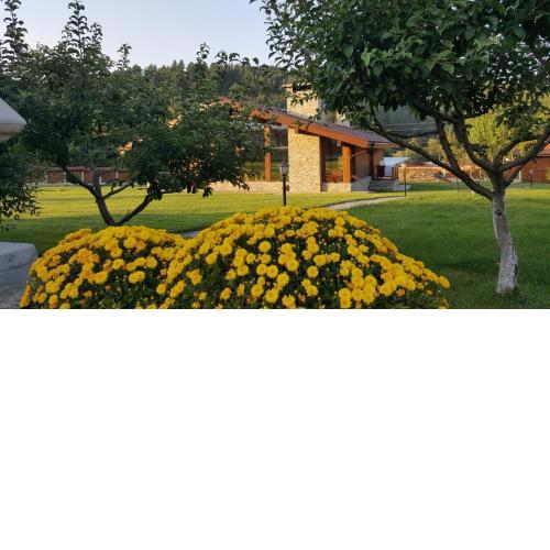 Gostnici Holiday Home