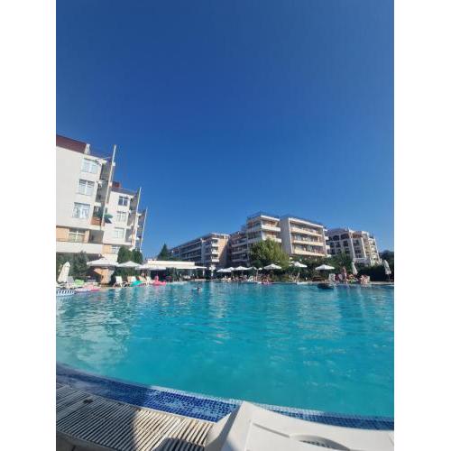 Grand Kamelia