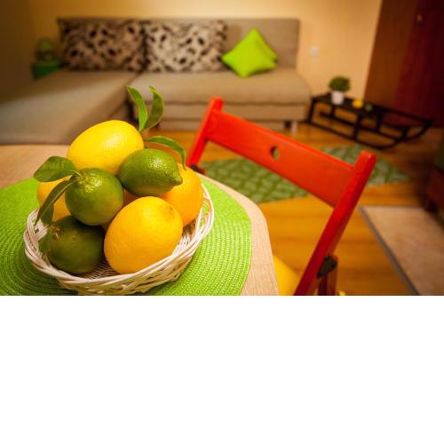 Green Lime Studio