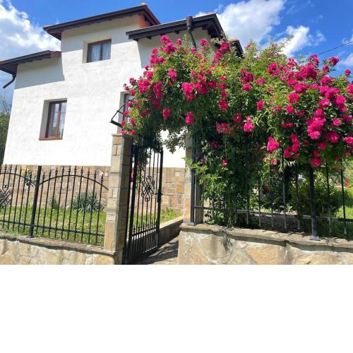 Guest House Anchetata