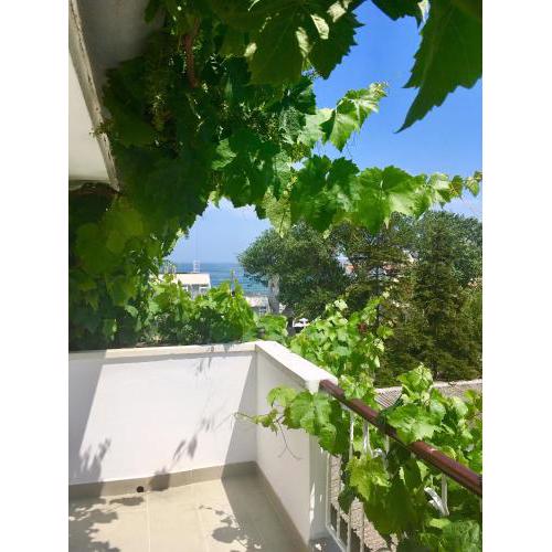 Guest House Barbov