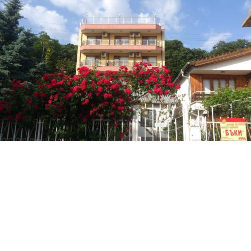 Guest House Byki