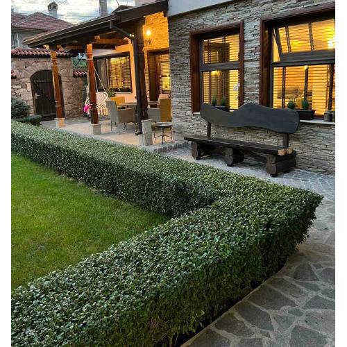 Guest House EGO