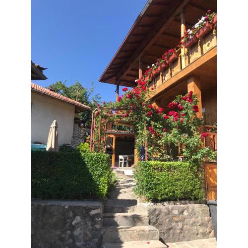 Guest House Roden Dom