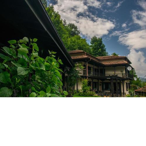 Guest House Verbena