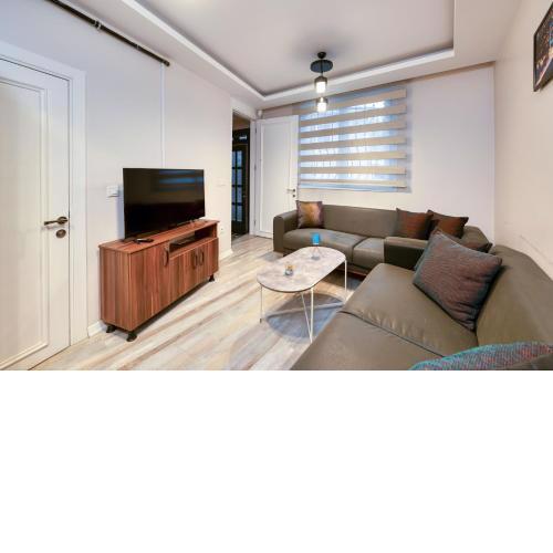 HAGİA detached house