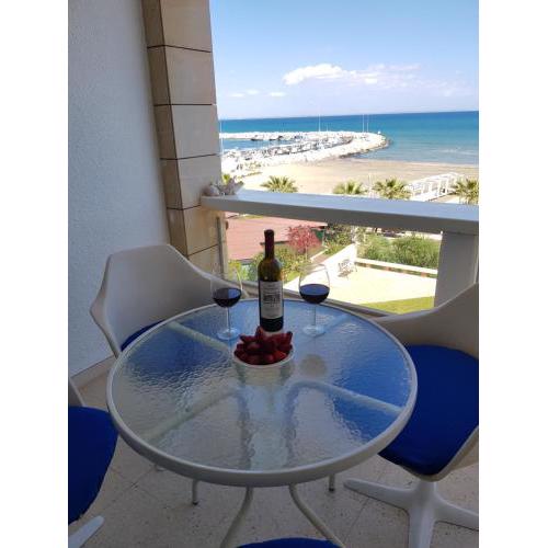 Haig's Dream Flat On The Beach