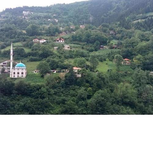 Hamsiköy green garden