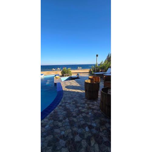 haroun villa