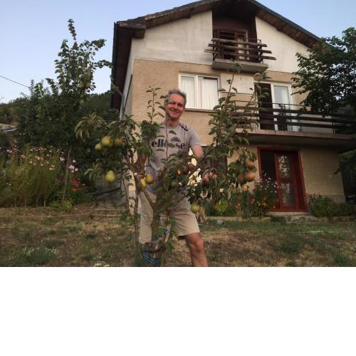 Harrys House