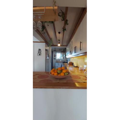 Havuzlu Bahçeli Müstakil Villa