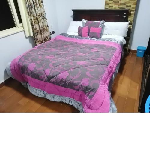 Hayat pyramids house 51N
