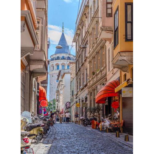 Historic Spacious Galata Apartment