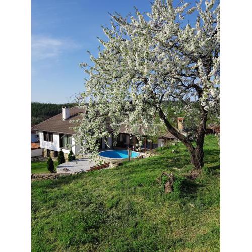 Holiday Home Arbanasi