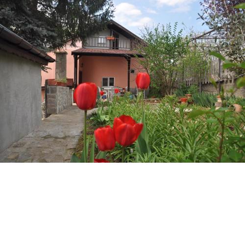 Holiday Home Vilata