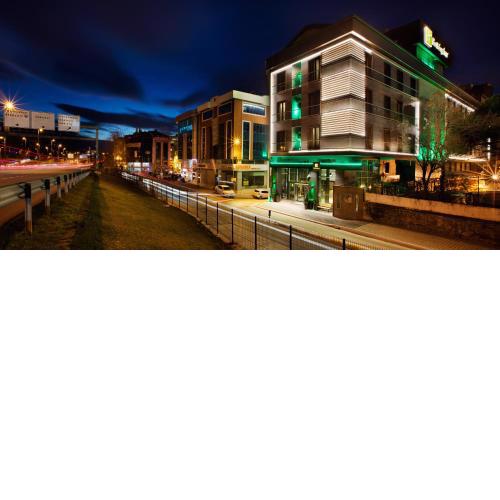 Holiday Inn Istanbul - Kadikoy, an IHG Hotel