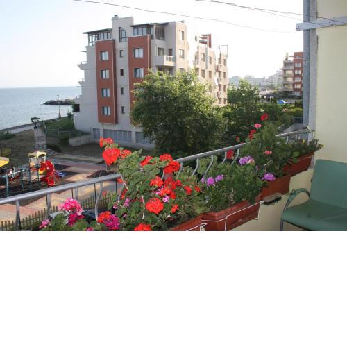 Homestay Kostadinov