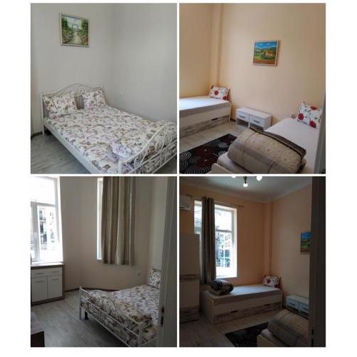 Hostel Ginger House