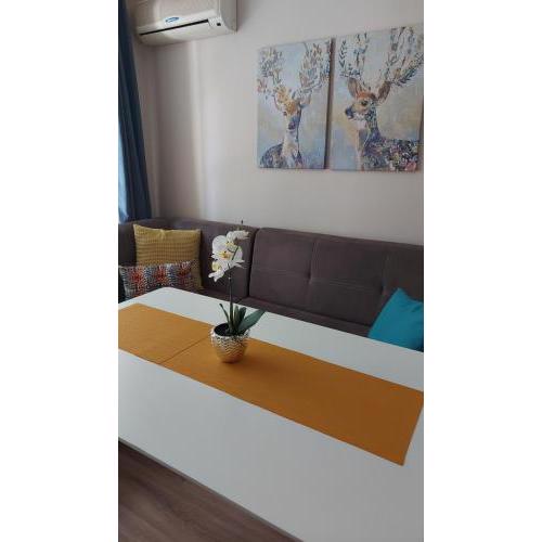 HostEx Meraki Apartment