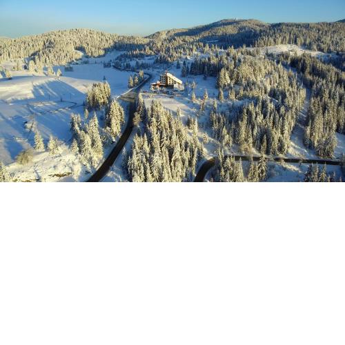 Hotel Coop Rozhen