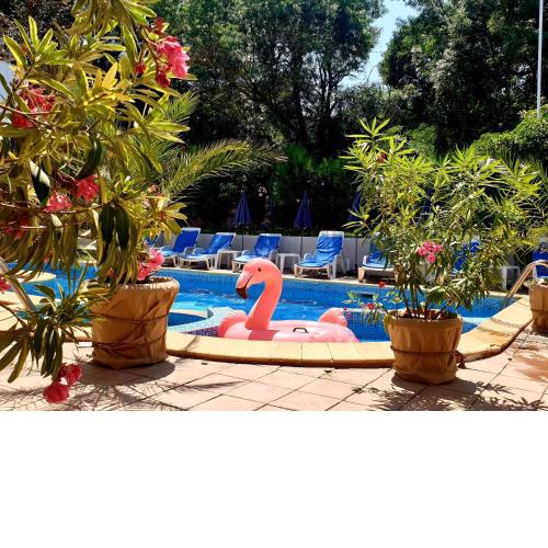 Hotel Feniks