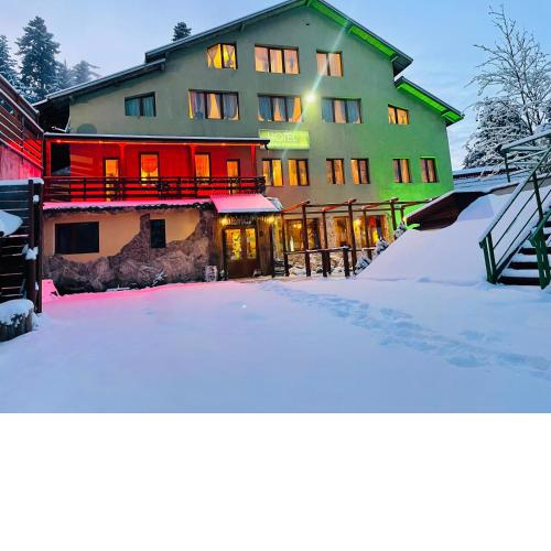 Hotel Forest Star on the Ski Slope