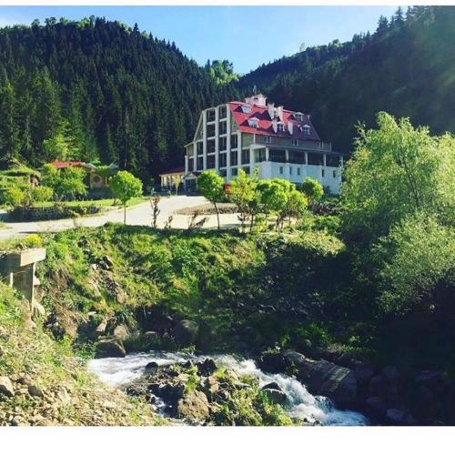 Hotel Green Valley Savsat