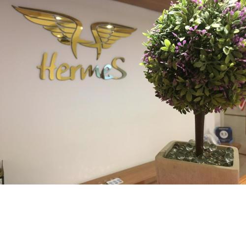 Hotel Hermes