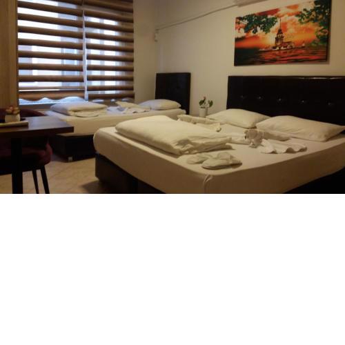 Hotel Kiwi