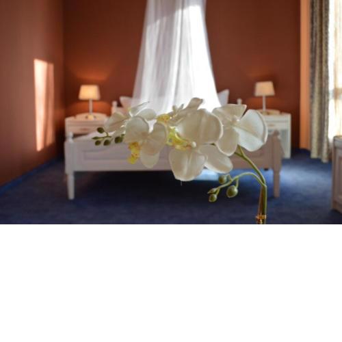 Hotel Shterev Sopot