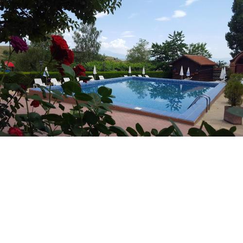 Hotel Villa Ofir