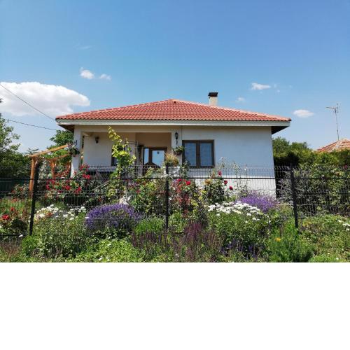 House Albena