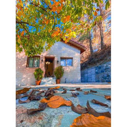 House de Fountas