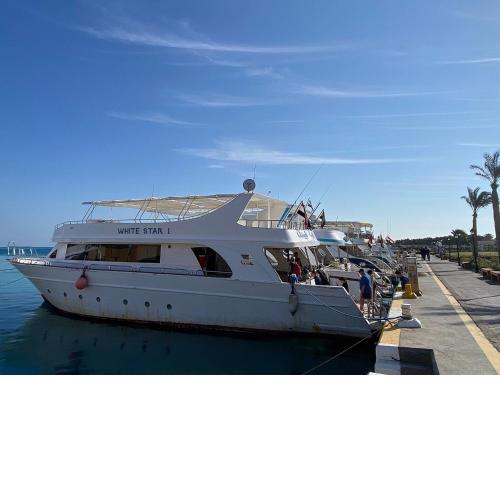 Hurghada Tours