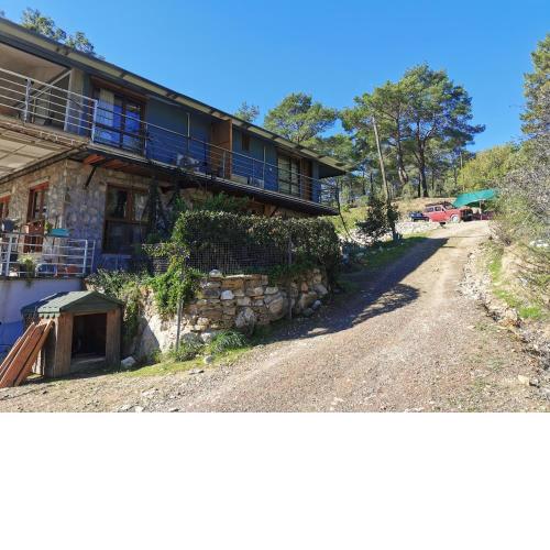 'Hypatia Olimpos