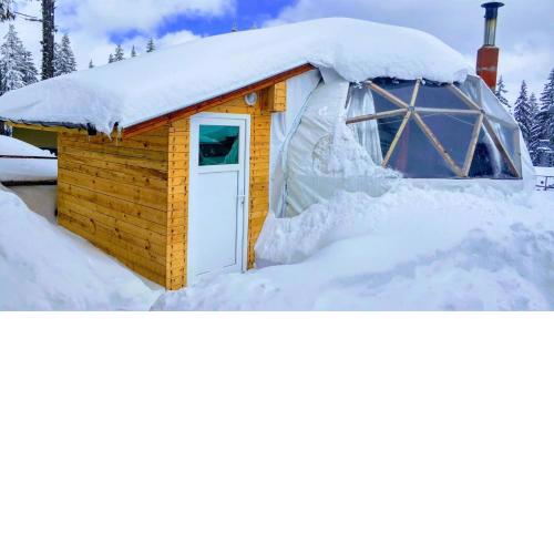 Igloo in the Woods - new, warm and inspiring