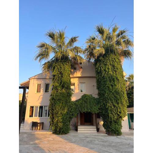 İlçayto Suites