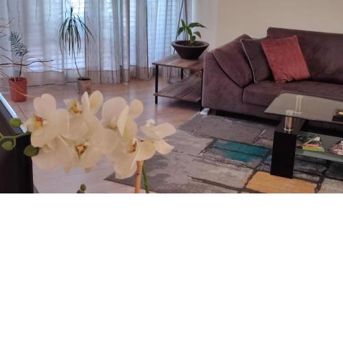 Isabella Modern flat City Center Nicosia