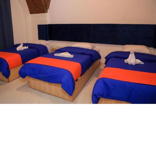JAREEDY Guest house