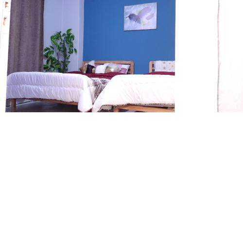 Joy Homes