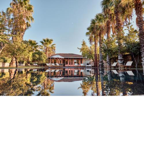 Jungle Eva Bodrum