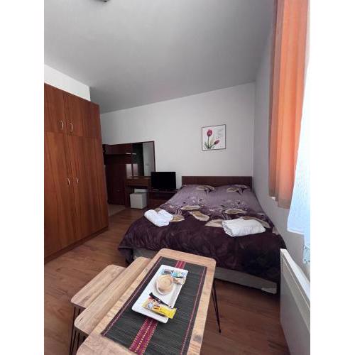 Kalina Apartment's in Bansko