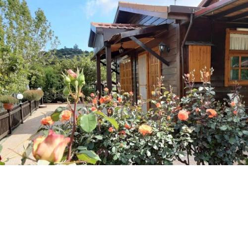 Kapilio Cottage House