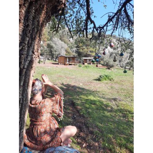 Kayakoy Retreat