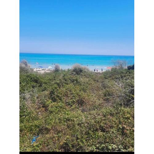 kelibia maison a 170 m de la plage Ezzahra